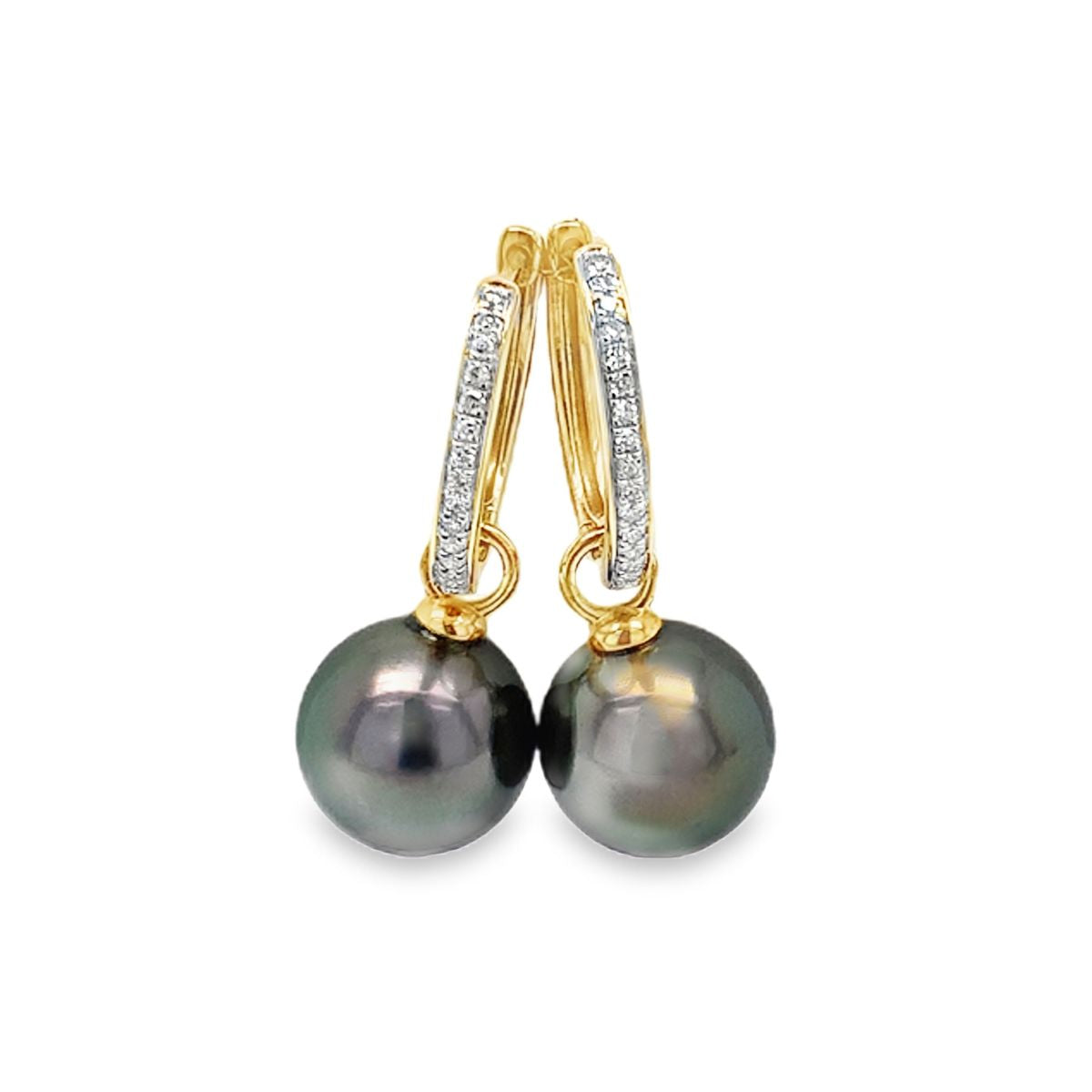 9ct Yellow Gold Diamond Hoops & 10mm Tahitian Pearls