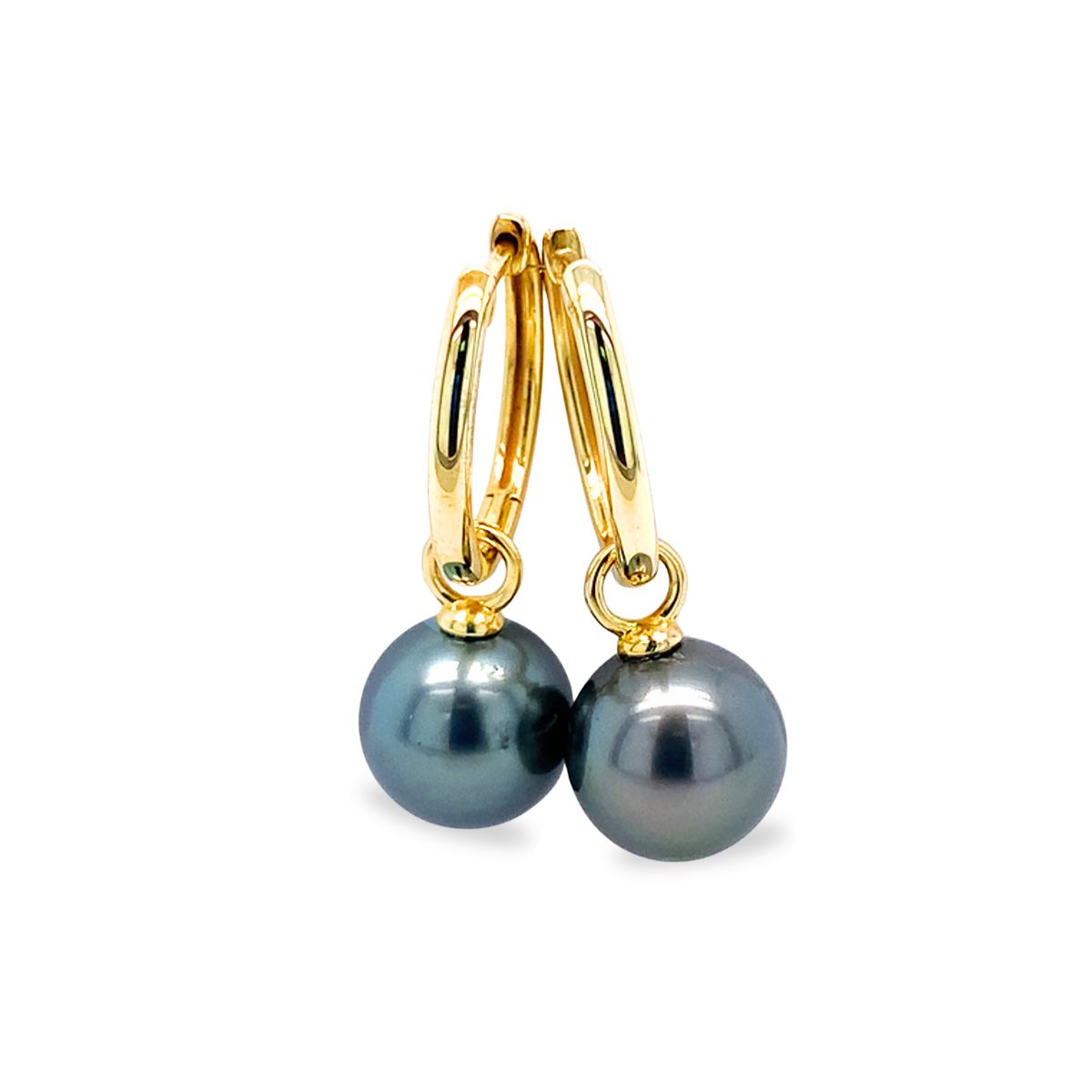 9ct Yellow Gold 10mm Tahitian Pearl Hoops