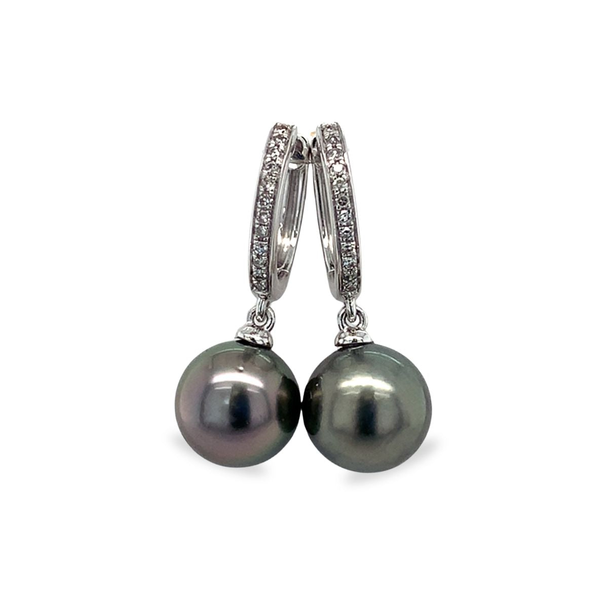 9ct White Gold 8-9mm Tahitian Pearl & Diamond Hoops