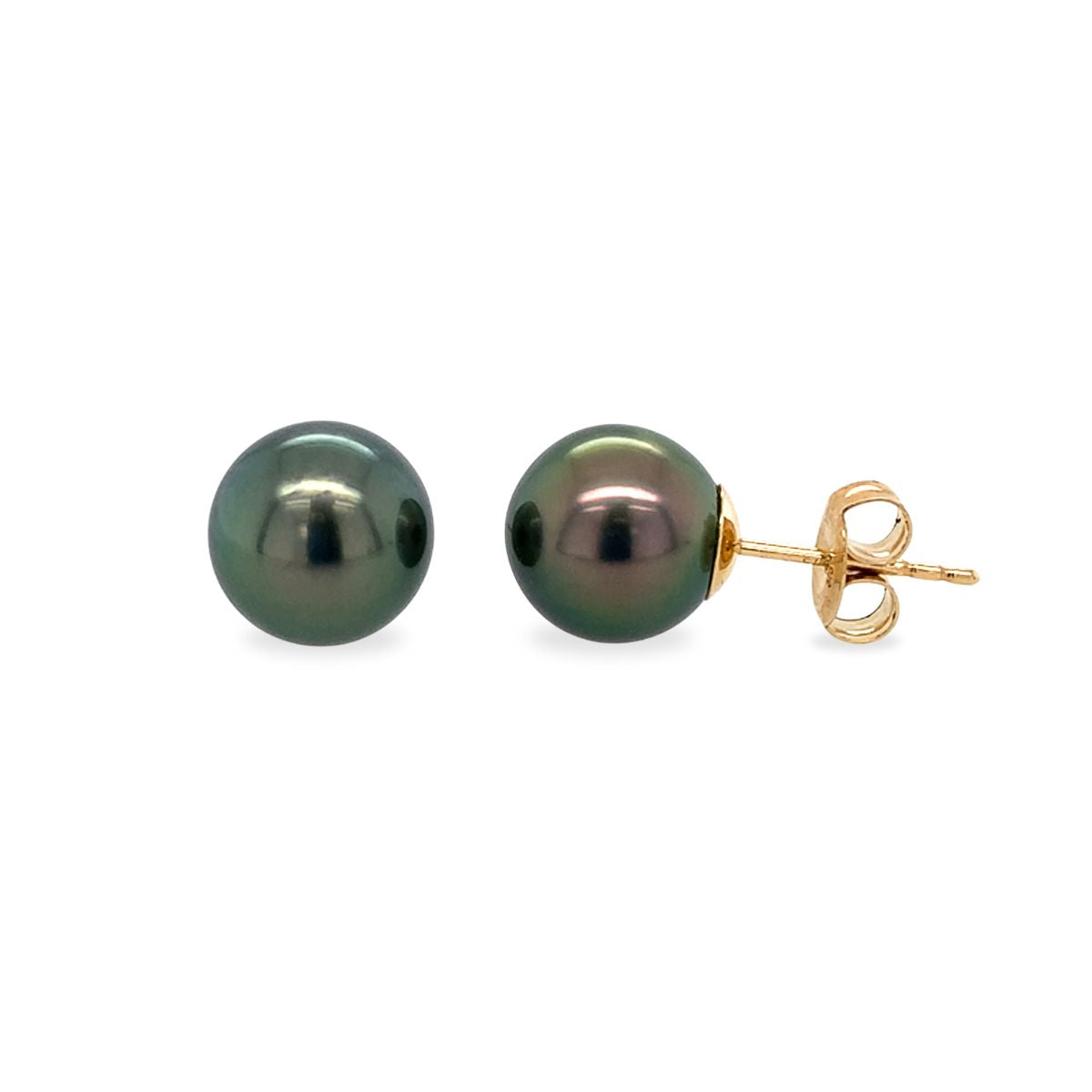 9ct Gold 9-10mm Tahitian Pearl Stud Earrings