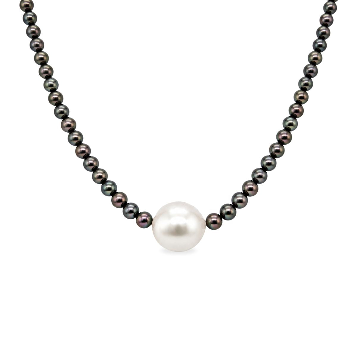 40cm Black Akoya Pearl and South Sea Pearl Silver Clasp Necklace