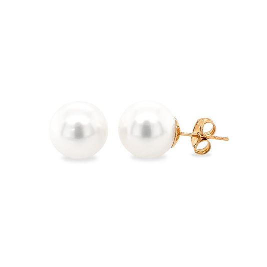 9ct Gold 11-12mm South Sea Pearl Stud Earrings