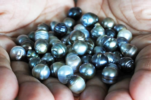 PearlsinHand a history of Pearls